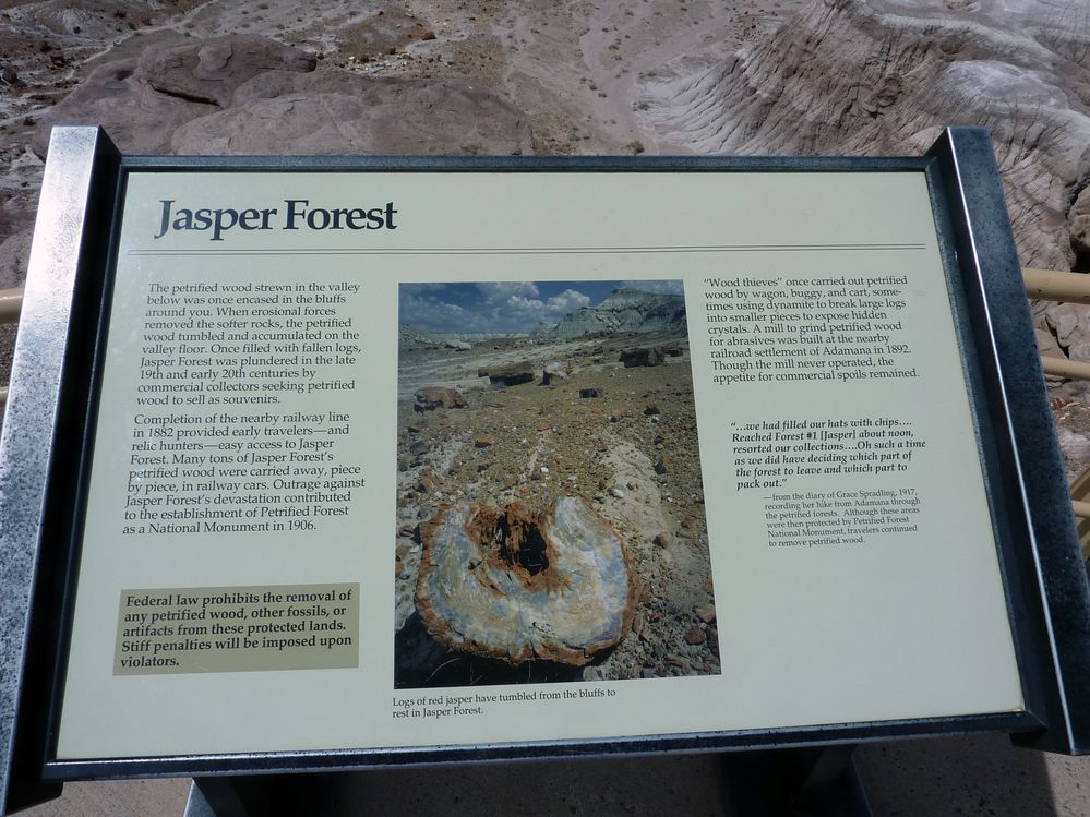 Crystal forest FP (2).JPG